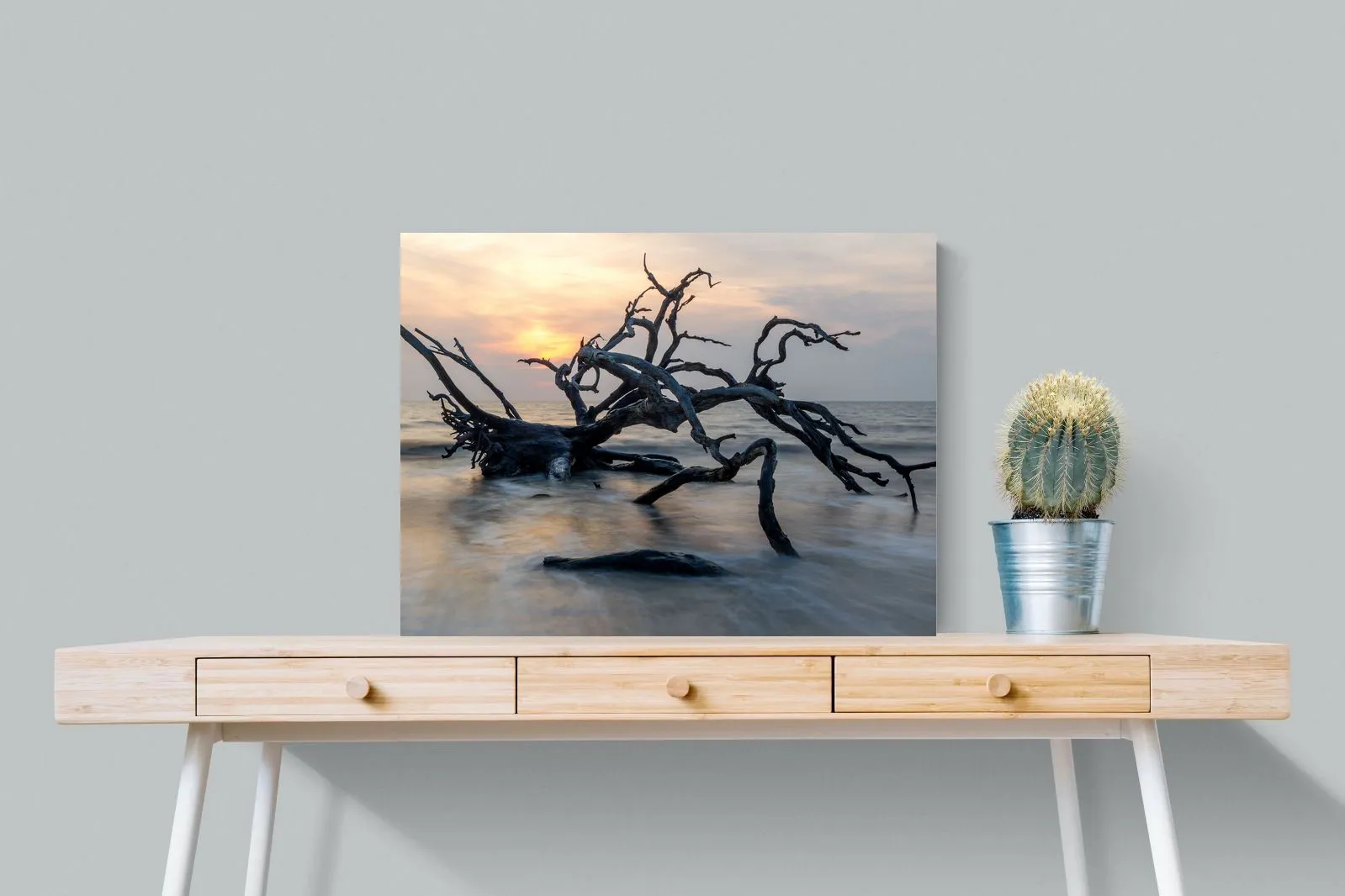 Driftwood Sunrise